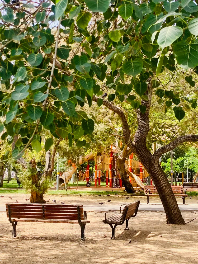גן הכובשים בתל אביב
